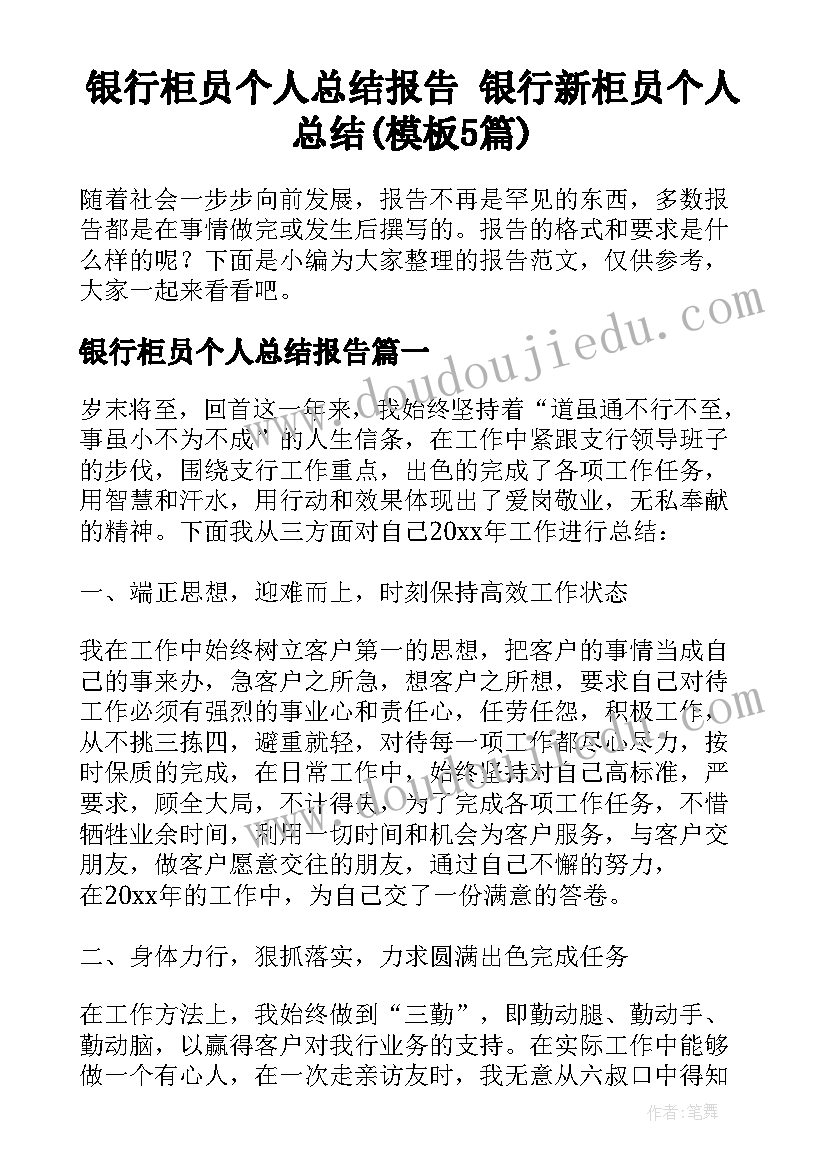 银行柜员个人总结报告 银行新柜员个人总结(模板5篇)