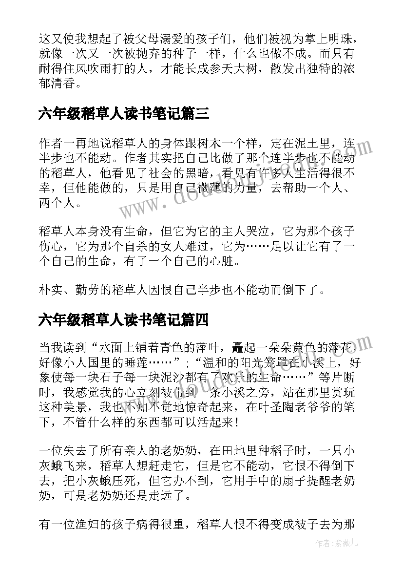 2023年六年级稻草人读书笔记(模板8篇)