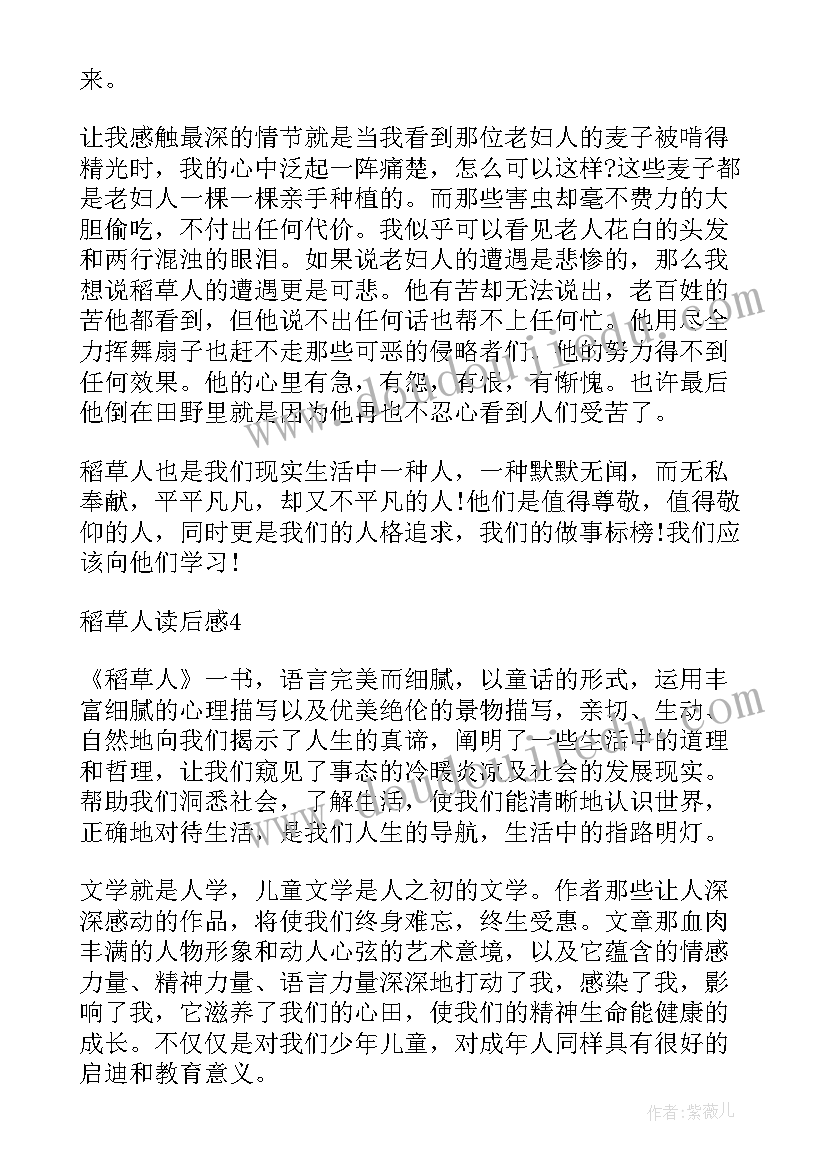 2023年六年级稻草人读书笔记(模板8篇)