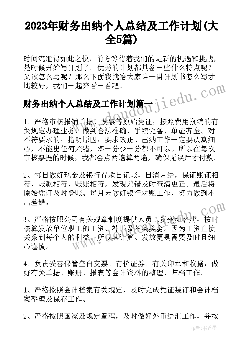 2023年财务出纳个人总结及工作计划(大全5篇)