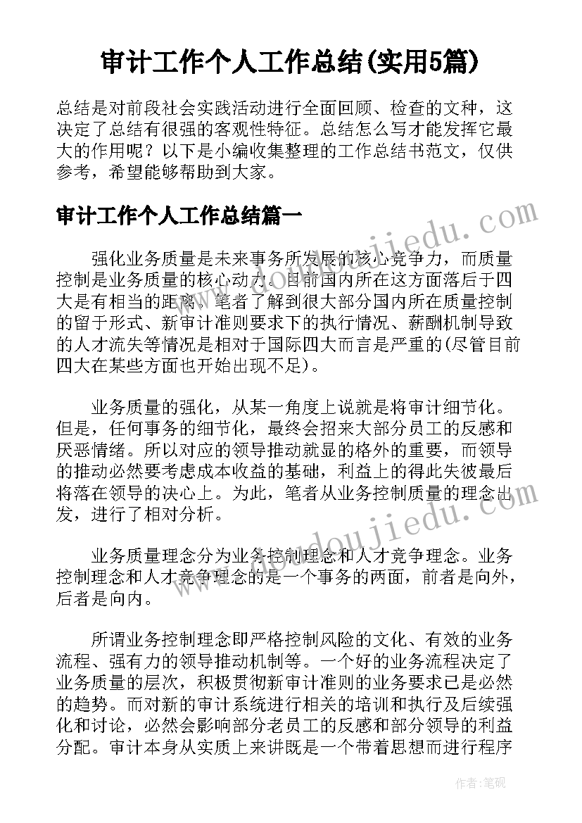 审计工作个人工作总结(实用5篇)