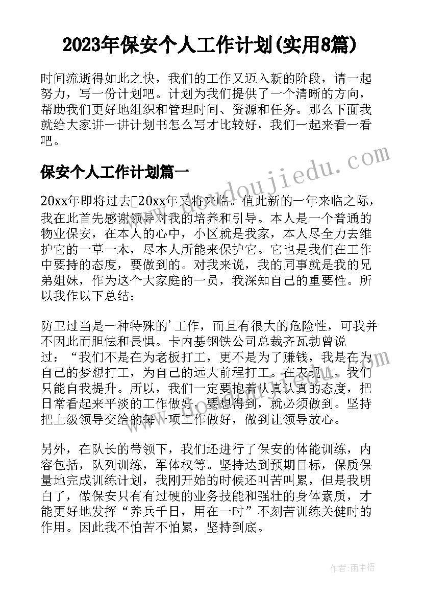 2023年保安个人工作计划(实用8篇)