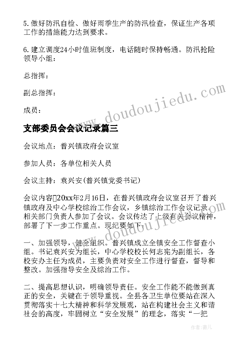 最新支部委员会会议记录 资助工作会议记录(大全5篇)