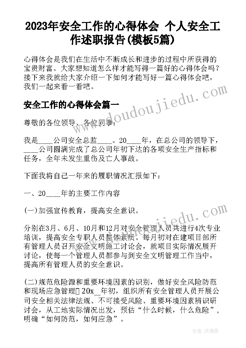 2023年安全工作的心得体会 个人安全工作述职报告(模板5篇)