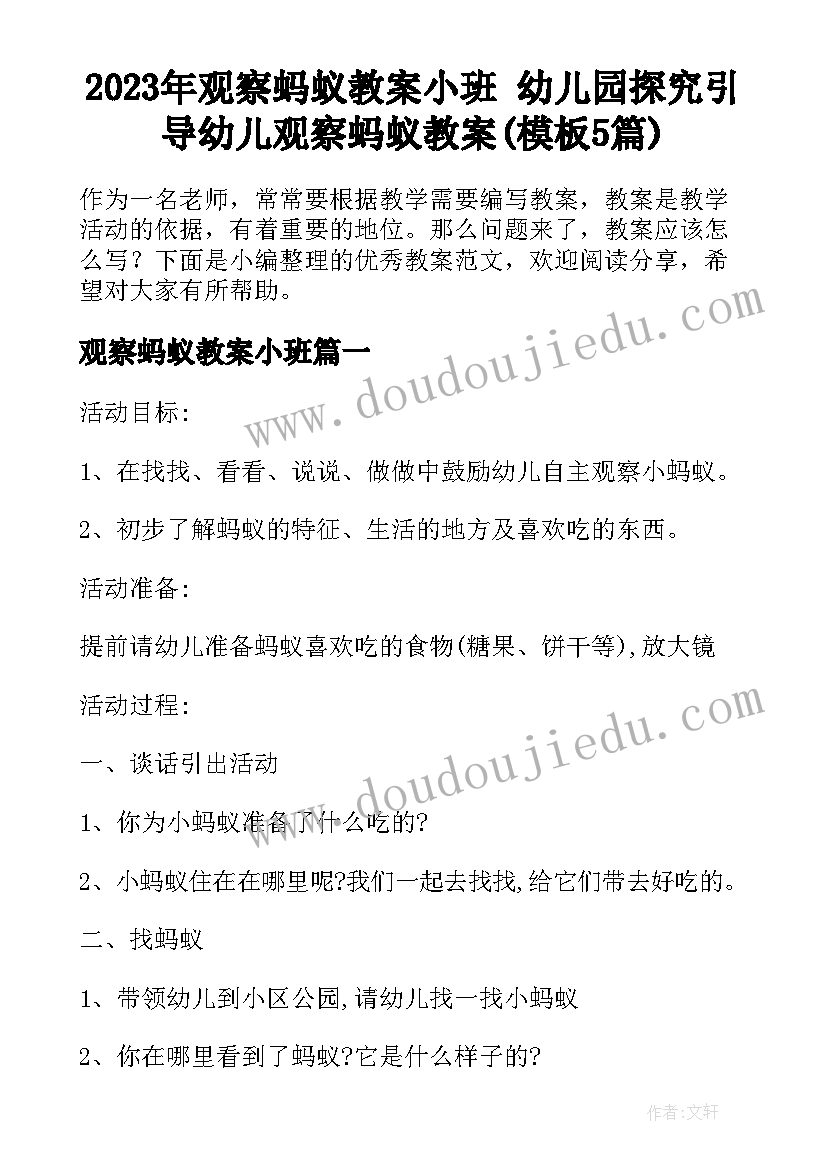 2023年观察蚂蚁教案小班 幼儿园探究引导幼儿观察蚂蚁教案(模板5篇)