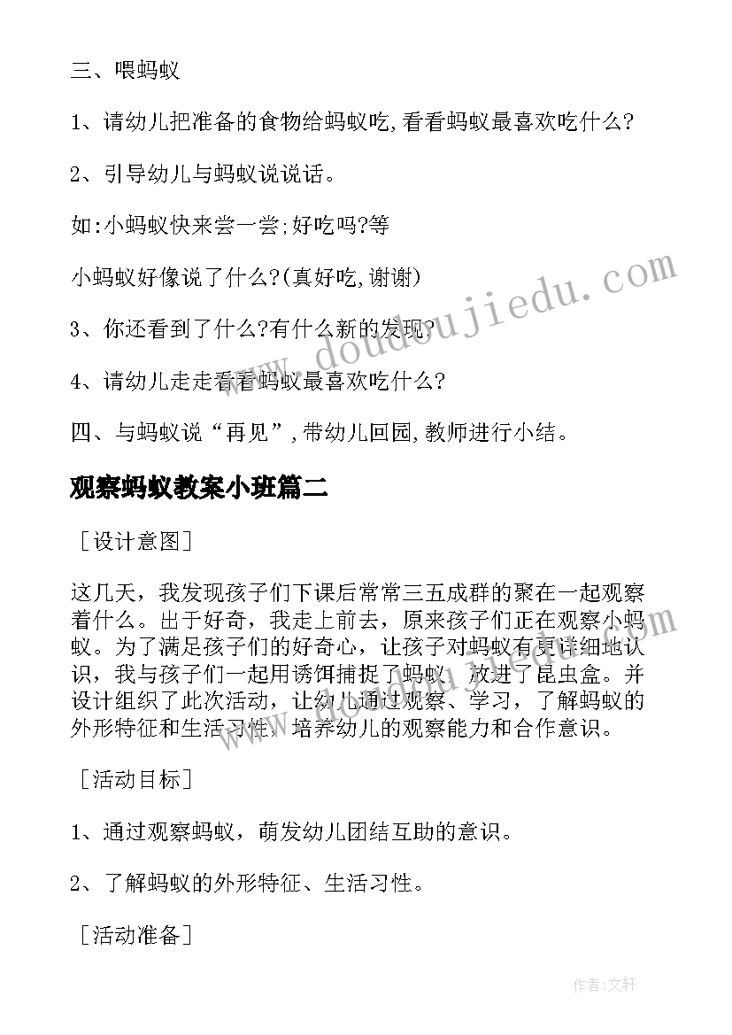 2023年观察蚂蚁教案小班 幼儿园探究引导幼儿观察蚂蚁教案(模板5篇)