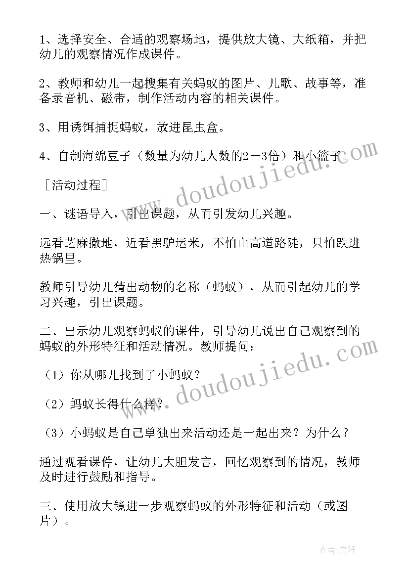 2023年观察蚂蚁教案小班 幼儿园探究引导幼儿观察蚂蚁教案(模板5篇)