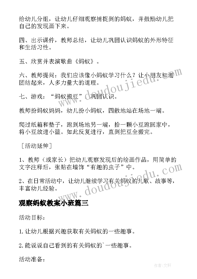 2023年观察蚂蚁教案小班 幼儿园探究引导幼儿观察蚂蚁教案(模板5篇)