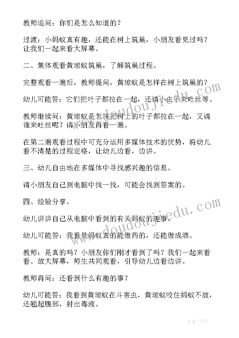 2023年观察蚂蚁教案小班 幼儿园探究引导幼儿观察蚂蚁教案(模板5篇)