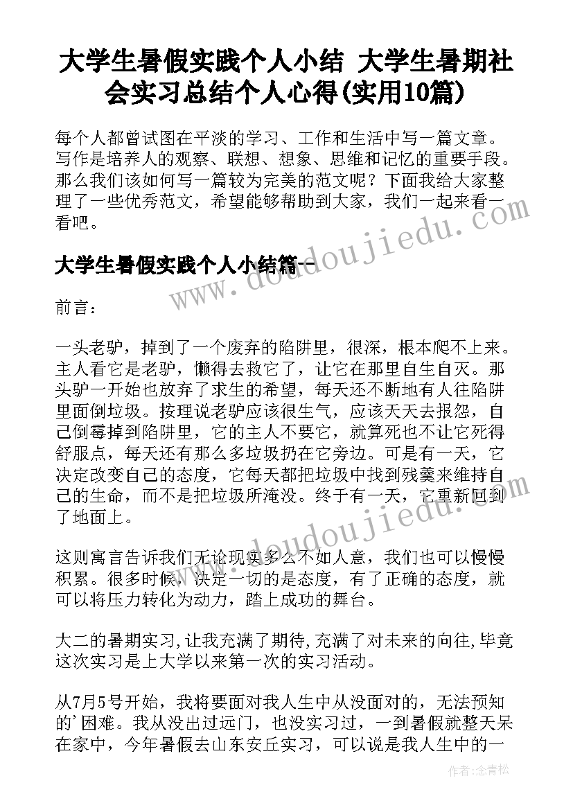 大学生暑假实践个人小结 大学生暑期社会实习总结个人心得(实用10篇)