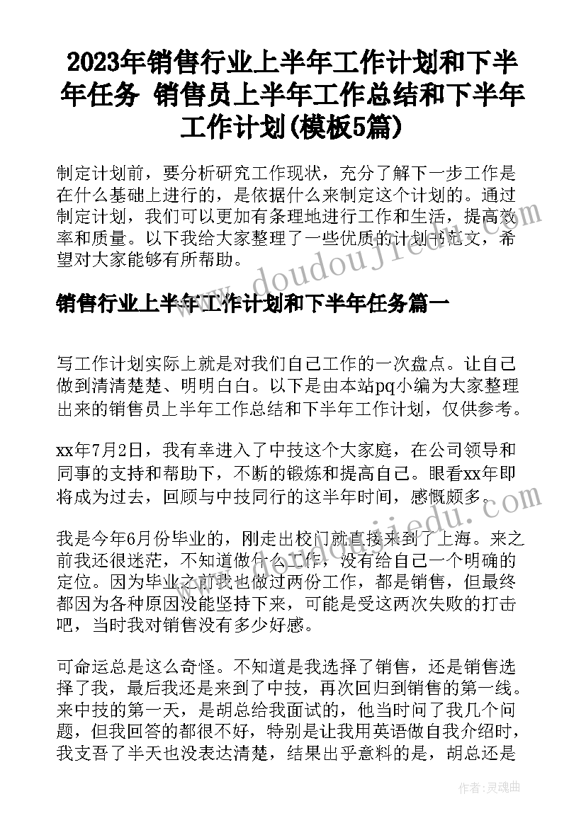 2023年销售行业上半年工作计划和下半年任务 销售员上半年工作总结和下半年工作计划(模板5篇)