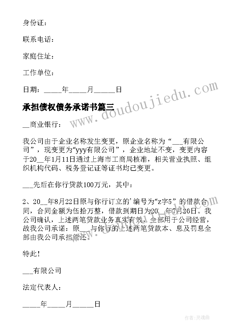 2023年承担债权债务承诺书(精选9篇)