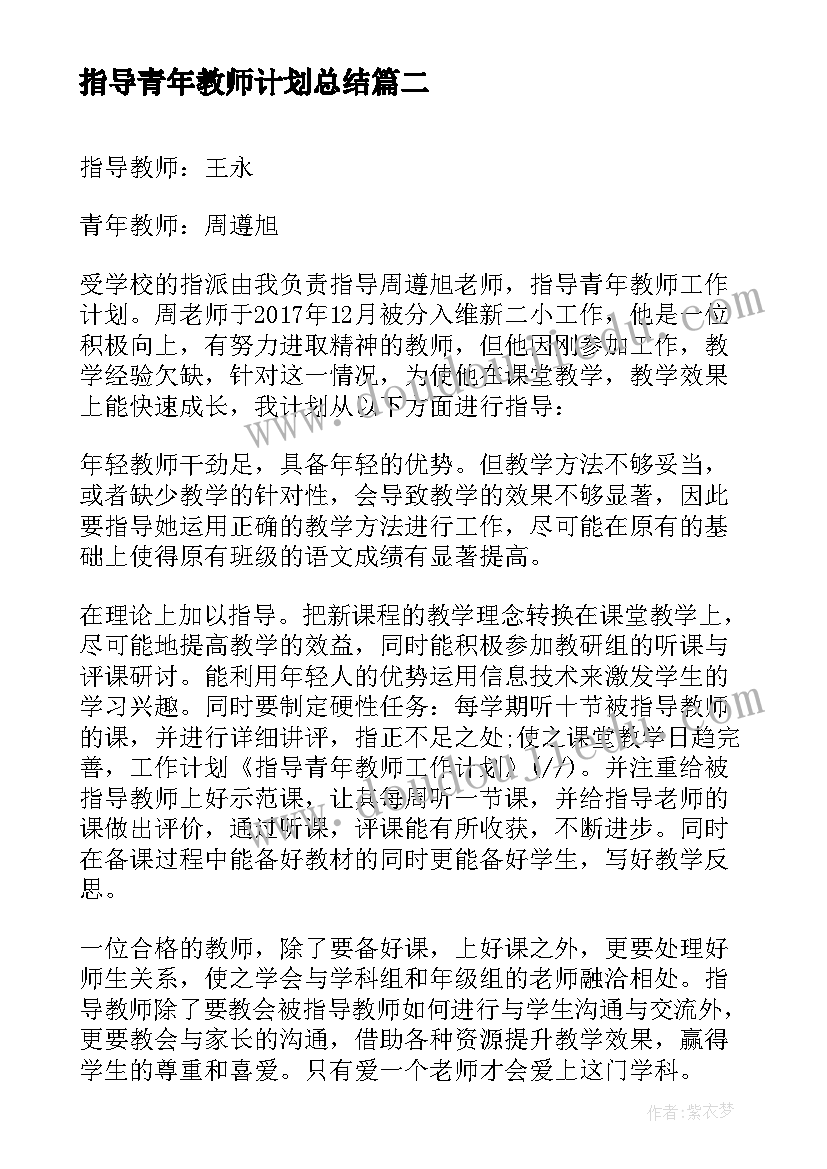 最新指导青年教师计划总结 指导青年教师工作计划(模板5篇)