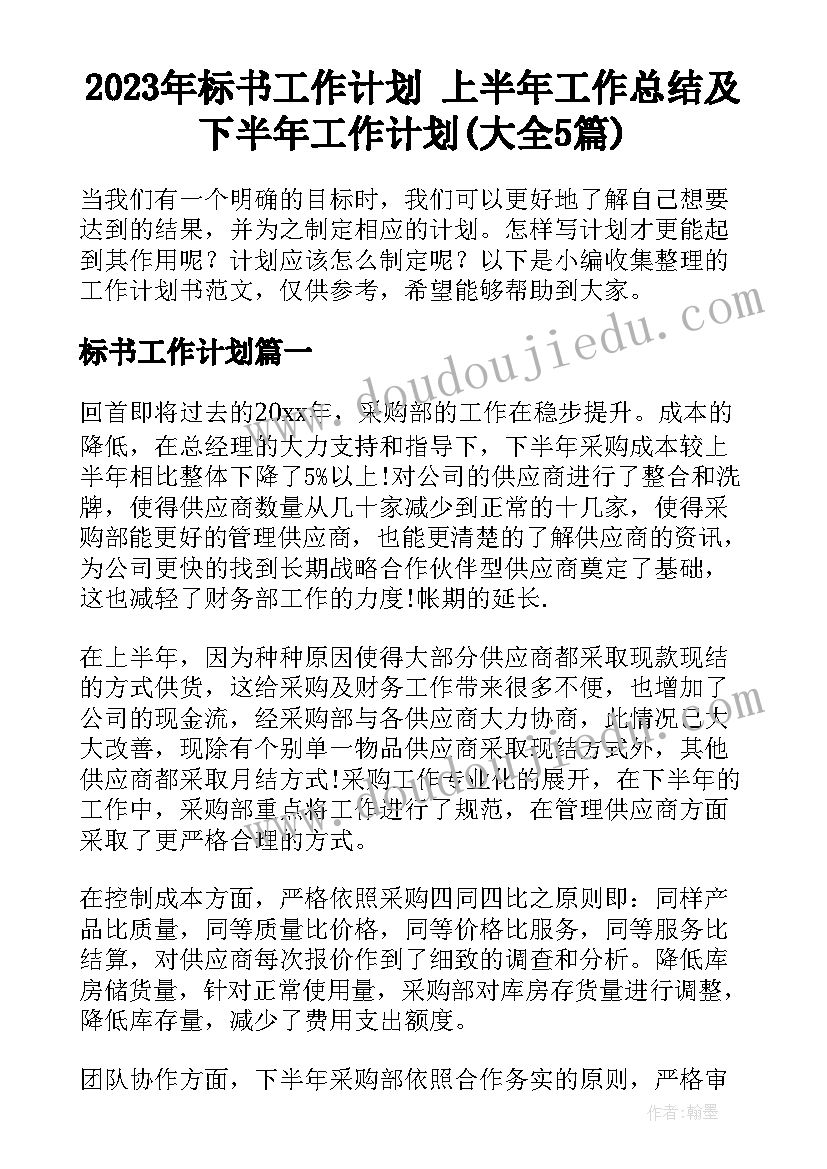 2023年标书工作计划 上半年工作总结及下半年工作计划(大全5篇)