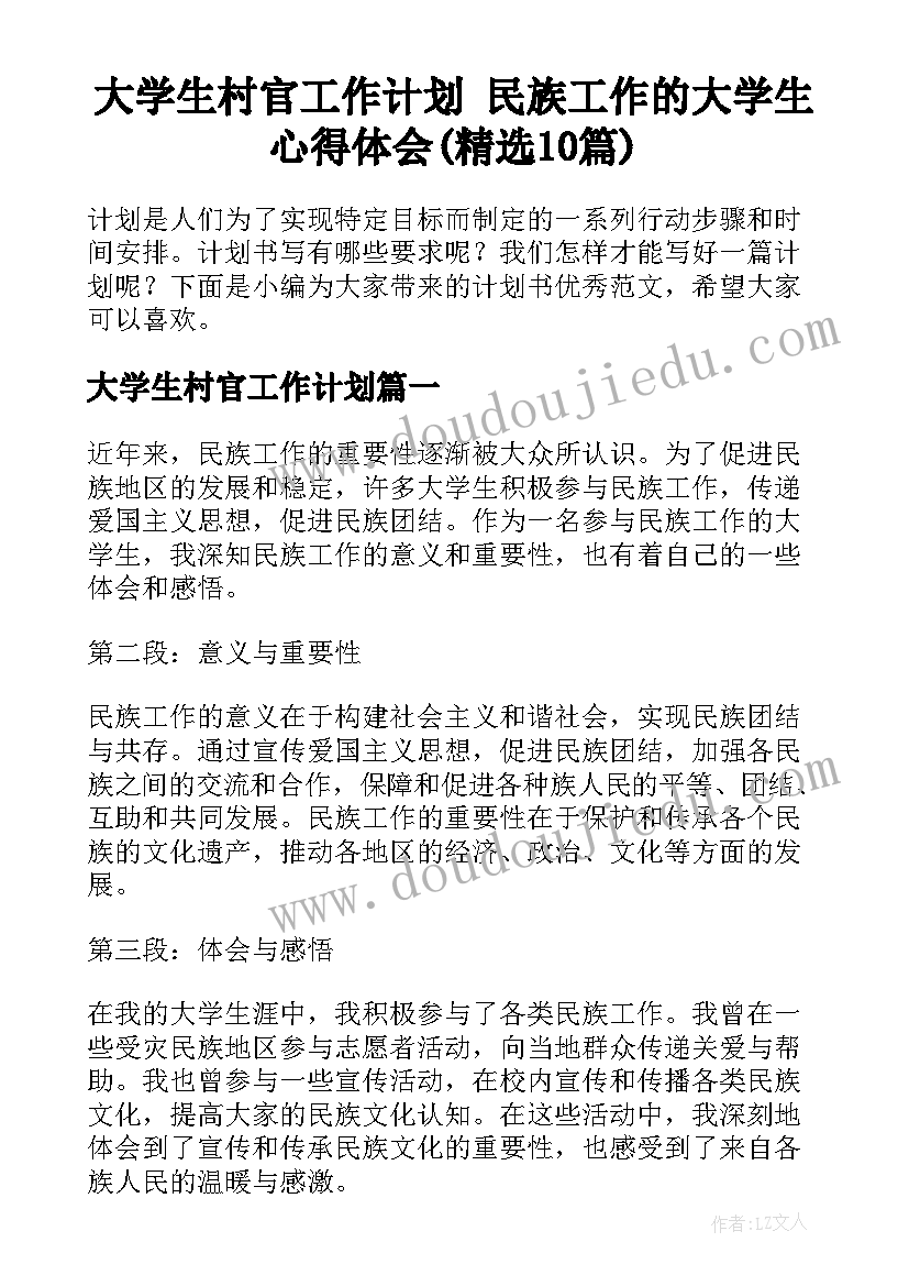 大学生村官工作计划 民族工作的大学生心得体会(精选10篇)