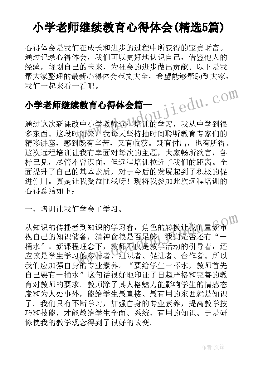 小学老师继续教育心得体会(精选5篇)