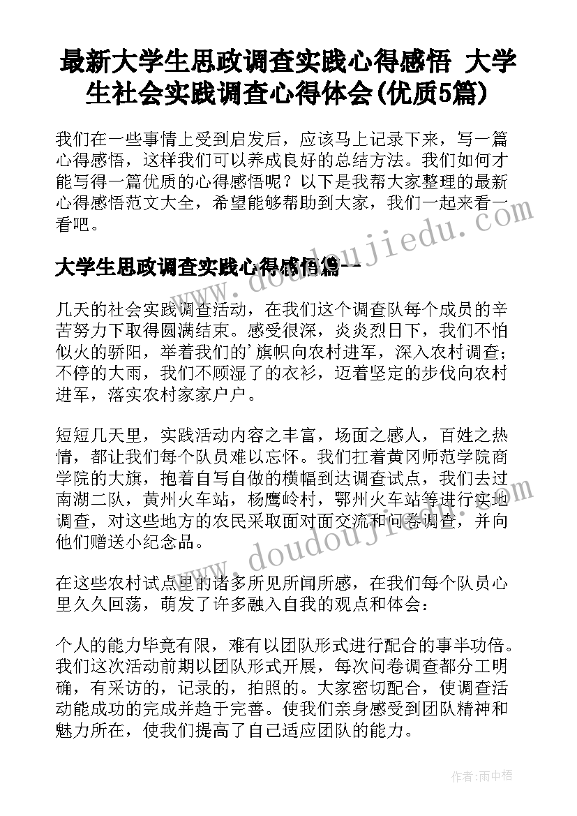 最新大学生思政调查实践心得感悟 大学生社会实践调查心得体会(优质5篇)