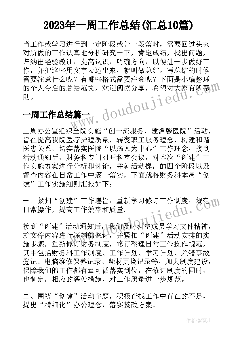 2023年一周工作总结(汇总10篇)