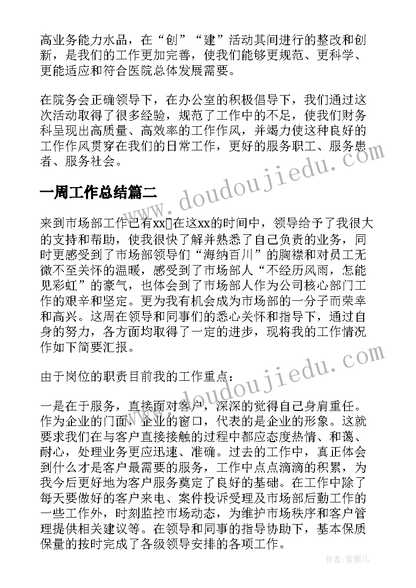 2023年一周工作总结(汇总10篇)