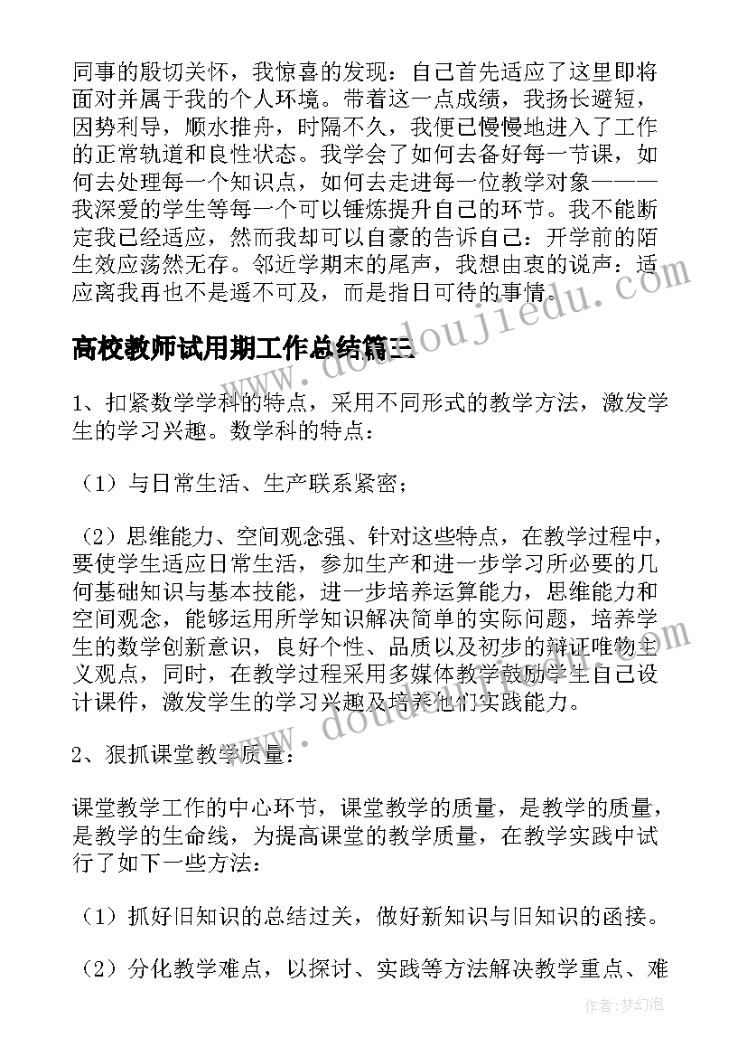 高校教师试用期工作总结(优秀5篇)