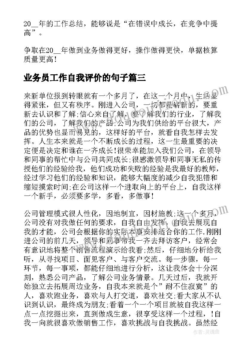 业务员工作自我评价的句子 业务员工作自我评价(模板5篇)