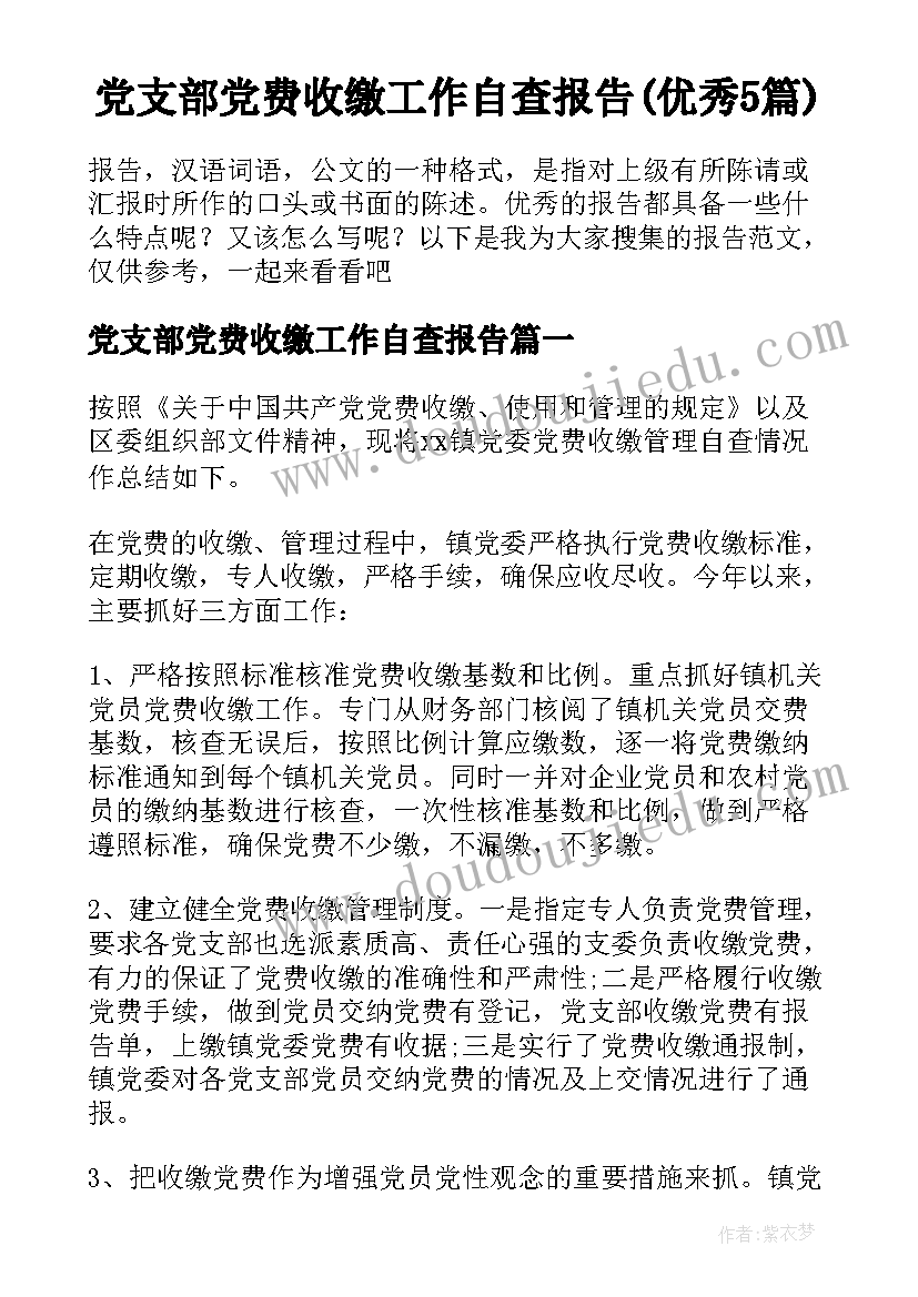 党支部党费收缴工作自查报告(优秀5篇)