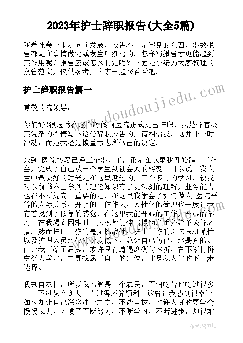 2023年护士辞职报告(大全5篇)