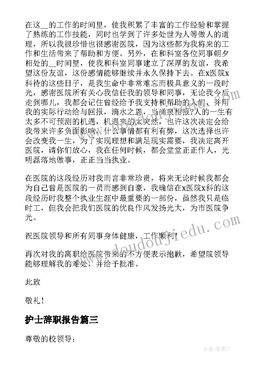 2023年护士辞职报告(大全5篇)