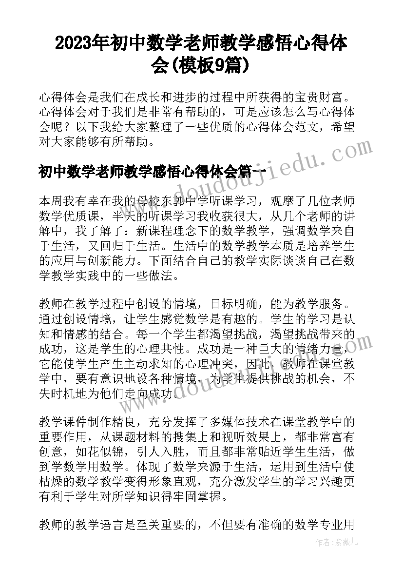 2023年初中数学老师教学感悟心得体会(模板9篇)