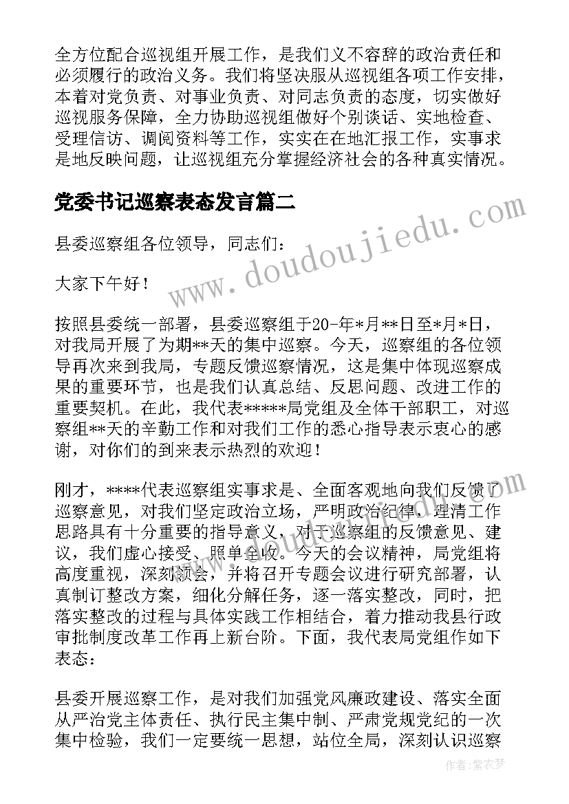 党委书记巡察表态发言(精选5篇)