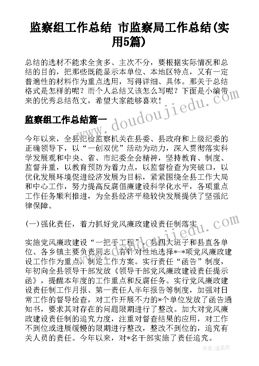 监察组工作总结 市监察局工作总结(实用5篇)