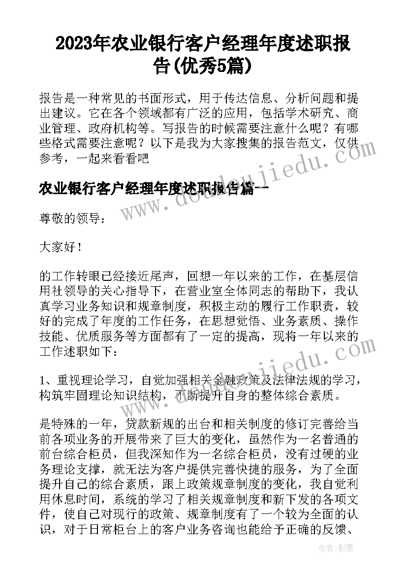 2023年农业银行客户经理年度述职报告(优秀5篇)