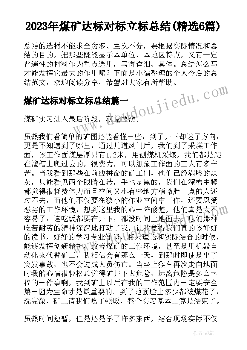 2023年煤矿达标对标立标总结(精选6篇)