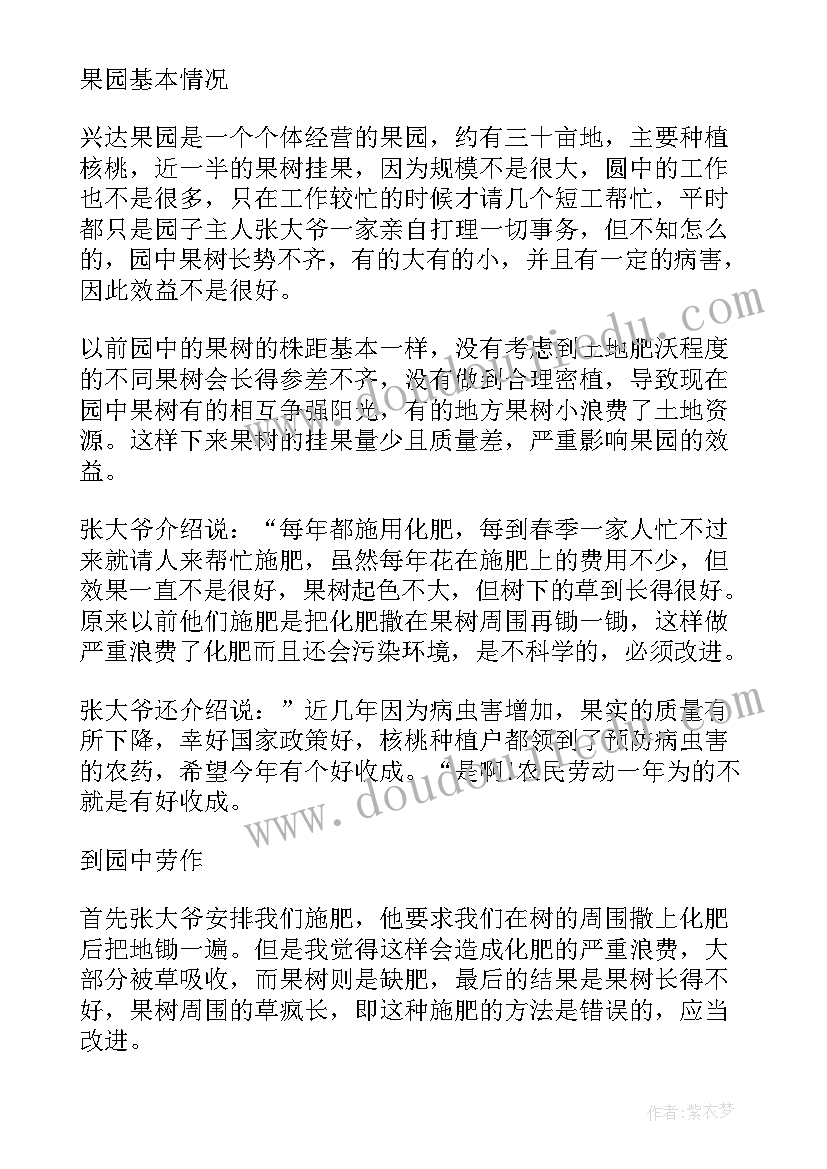 大学生寒假农村实践报告 大学生寒假农村实习报告(优质5篇)