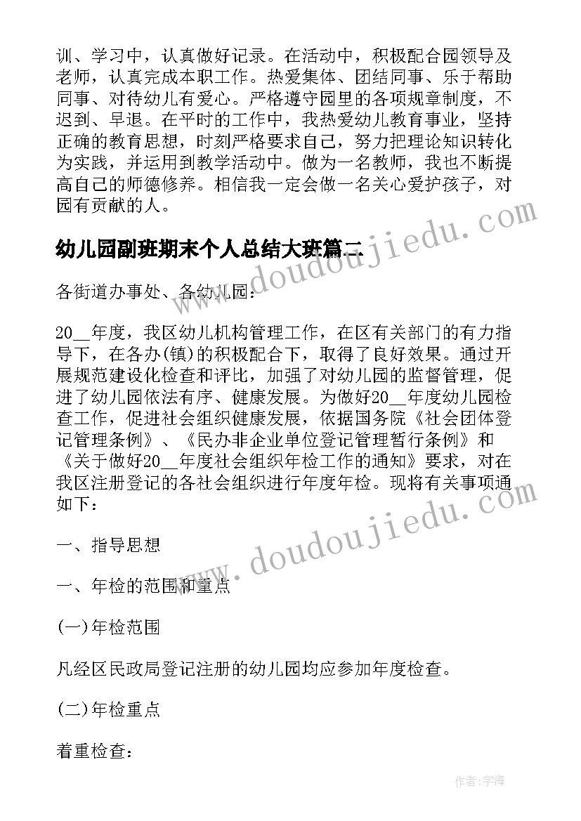 幼儿园副班期末个人总结大班 幼儿园大班个人工作总结(优秀5篇)