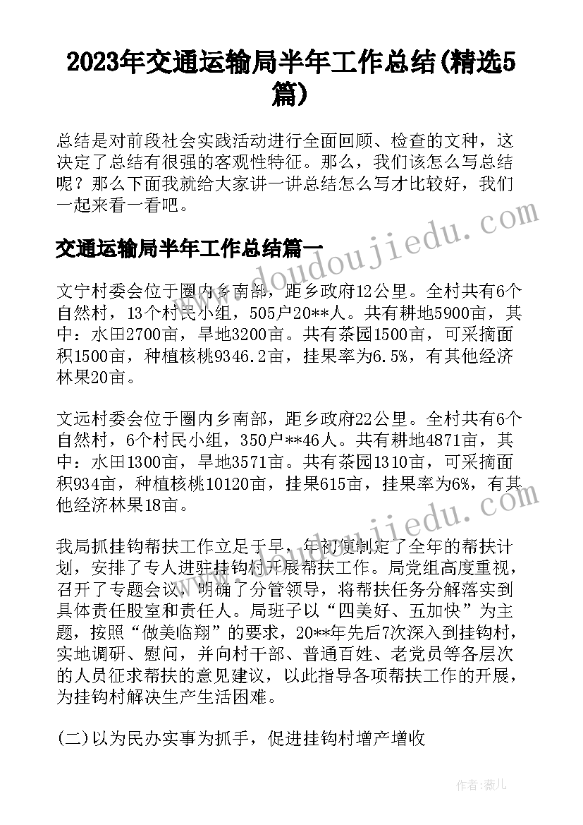 2023年交通运输局半年工作总结(精选5篇)