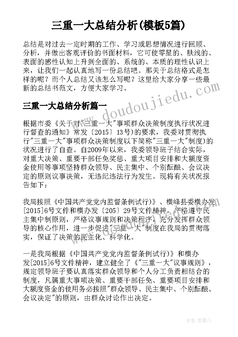 三重一大总结分析(模板5篇)