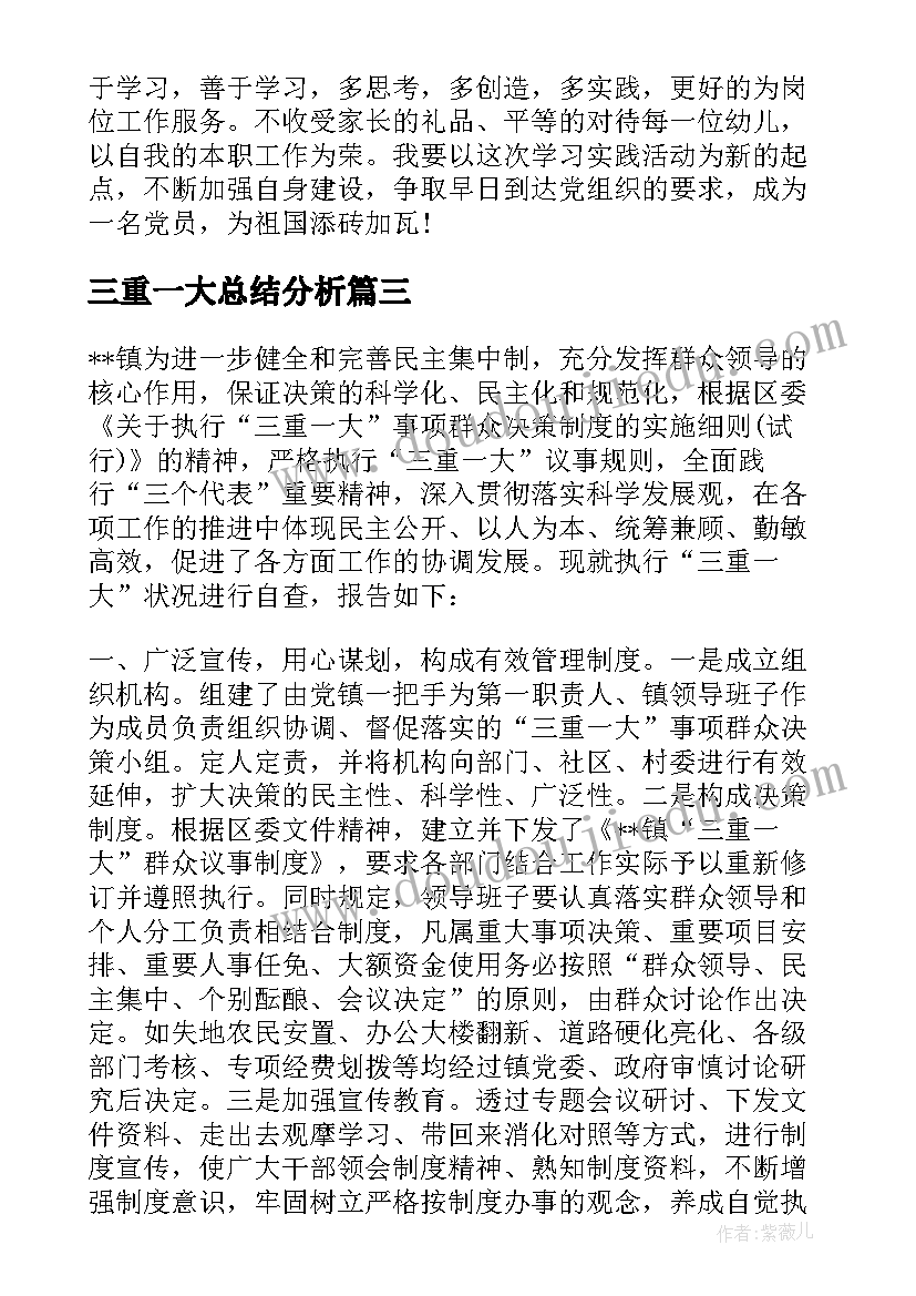 三重一大总结分析(模板5篇)