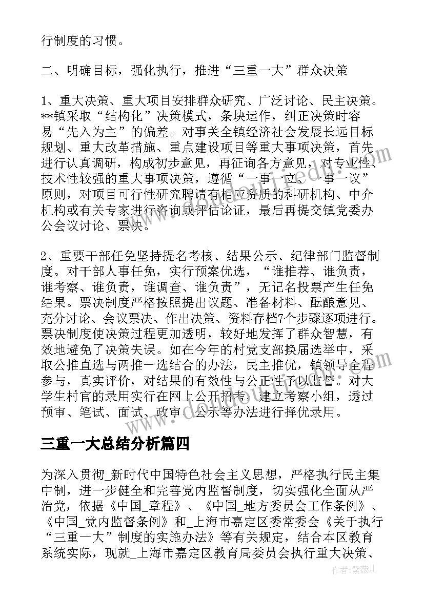 三重一大总结分析(模板5篇)