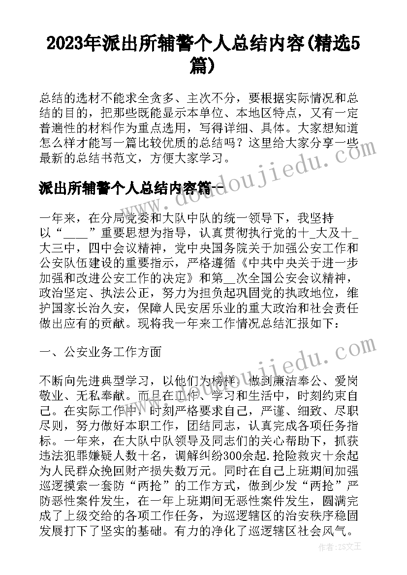 2023年派出所辅警个人总结内容(精选5篇)