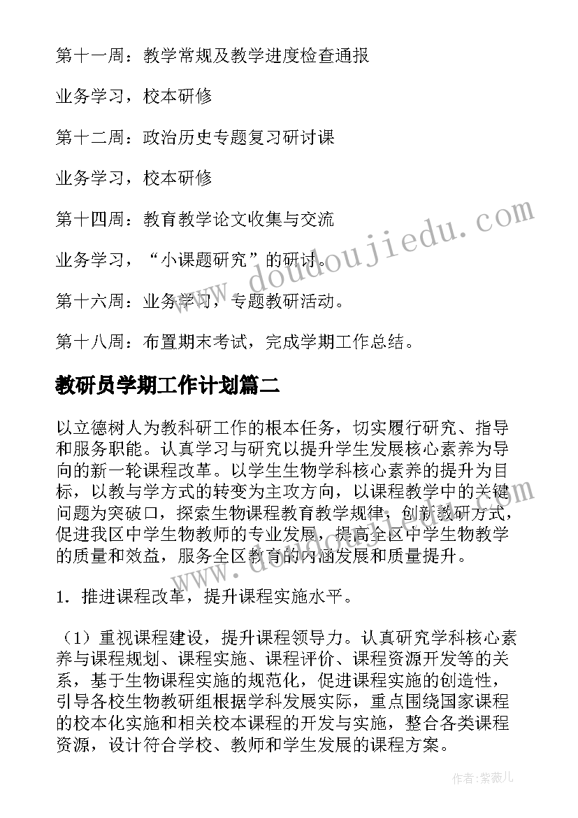 教研员学期工作计划(模板6篇)