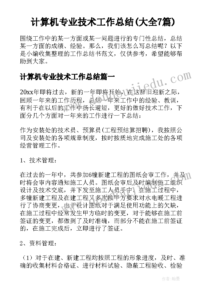 计算机专业技术工作总结(大全7篇)