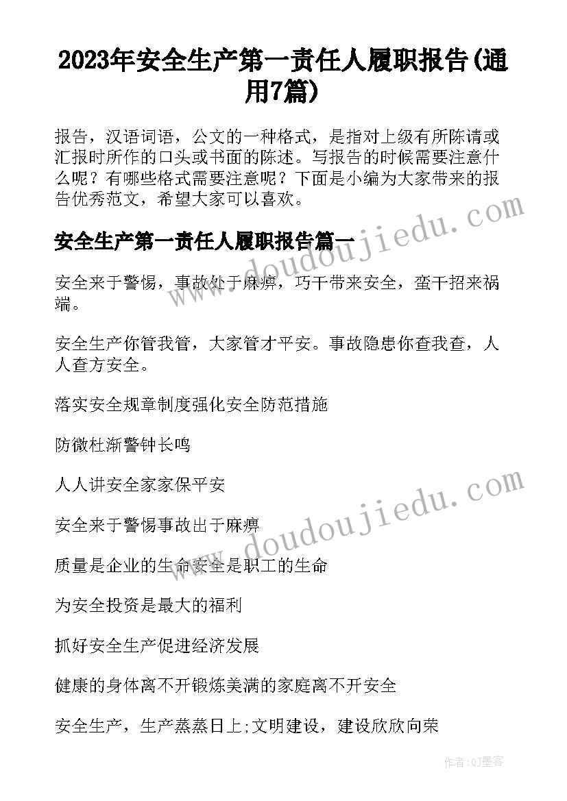 2023年安全生产第一责任人履职报告(通用7篇)