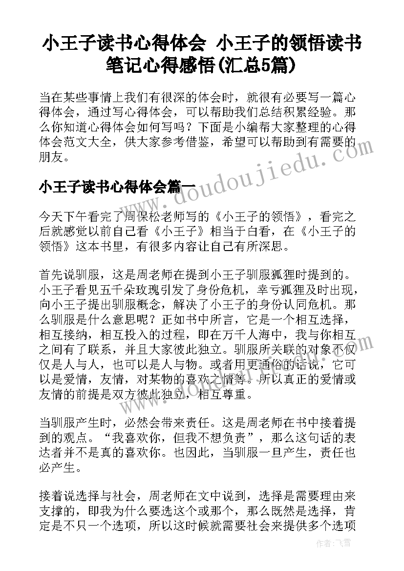 小王子读书心得体会 小王子的领悟读书笔记心得感悟(汇总5篇)