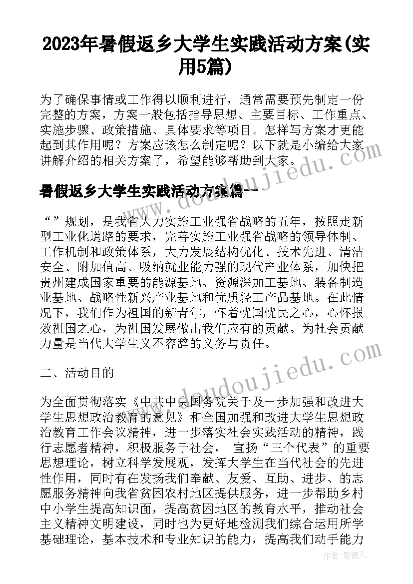 2023年暑假返乡大学生实践活动方案(实用5篇)