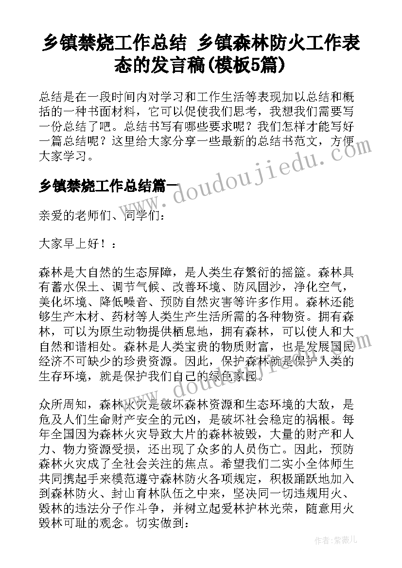 乡镇禁烧工作总结 乡镇森林防火工作表态的发言稿(模板5篇)