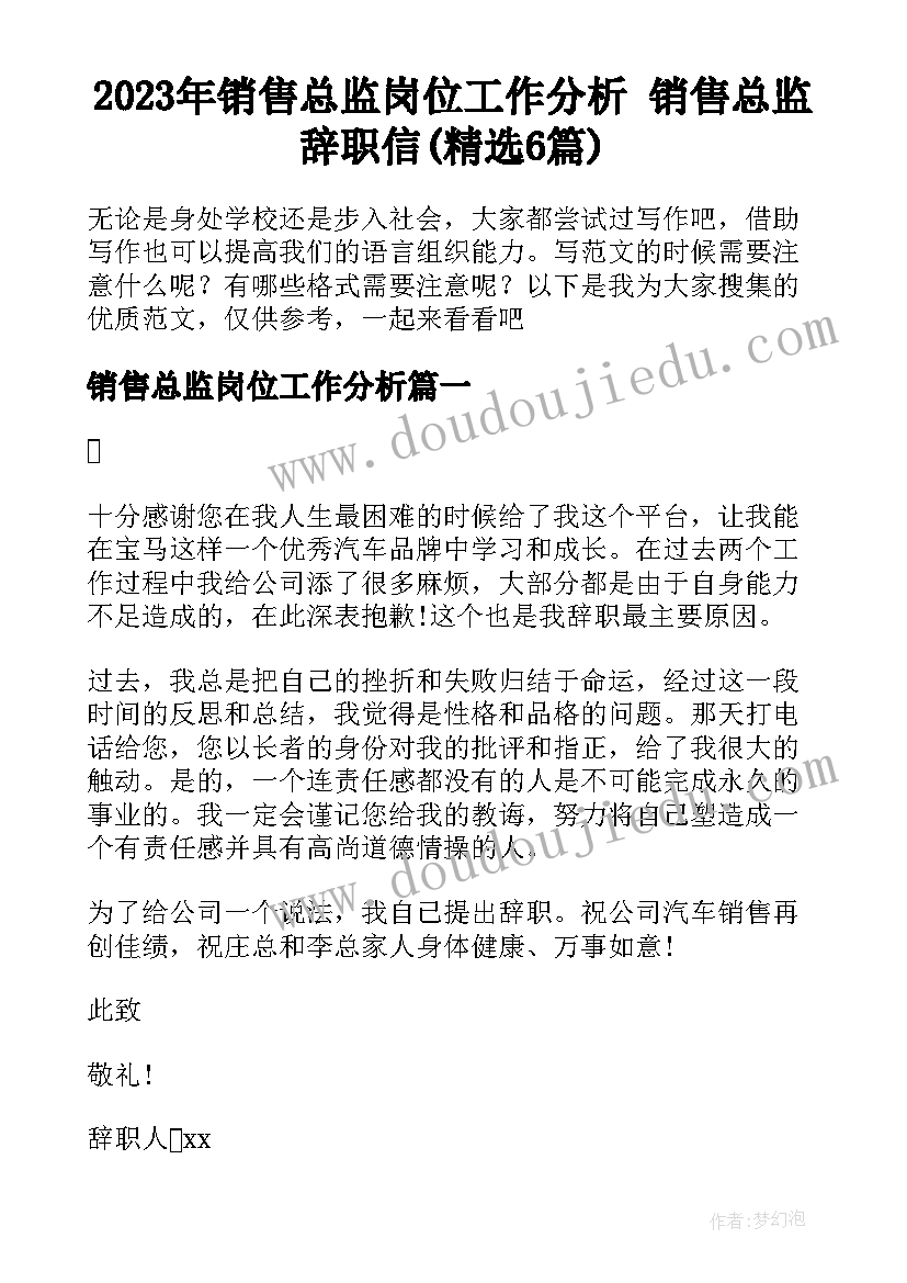 2023年销售总监岗位工作分析 销售总监辞职信(精选6篇)