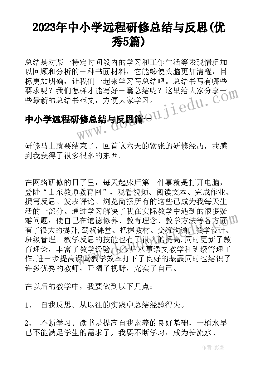 2023年中小学远程研修总结与反思(优秀5篇)