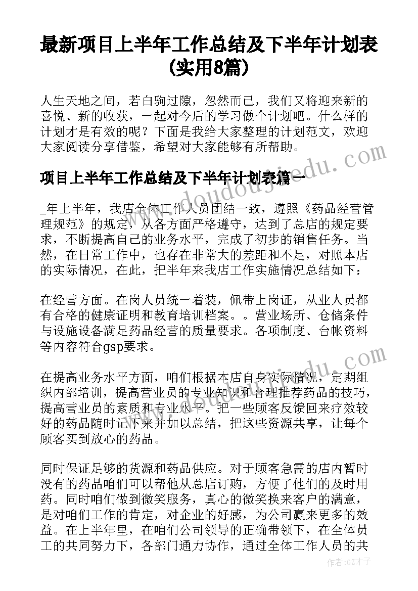 最新项目上半年工作总结及下半年计划表(实用8篇)