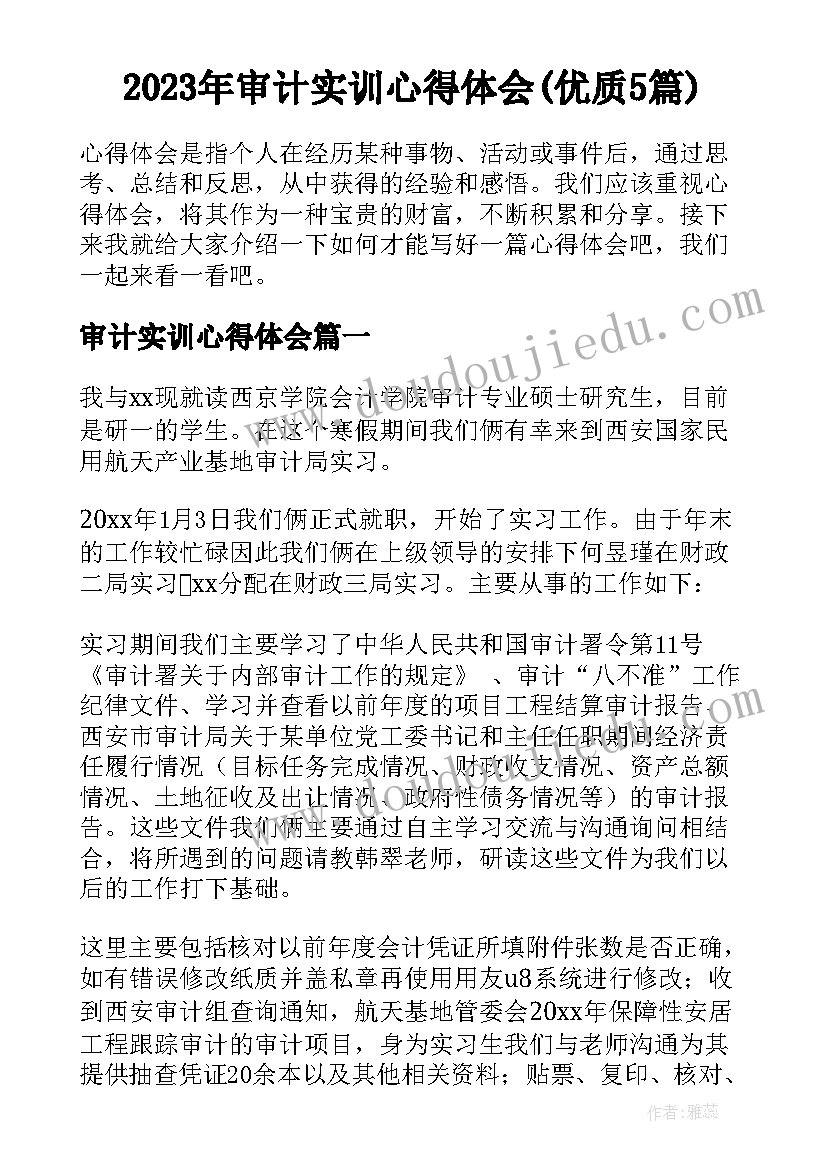 2023年审计实训心得体会(优质5篇)